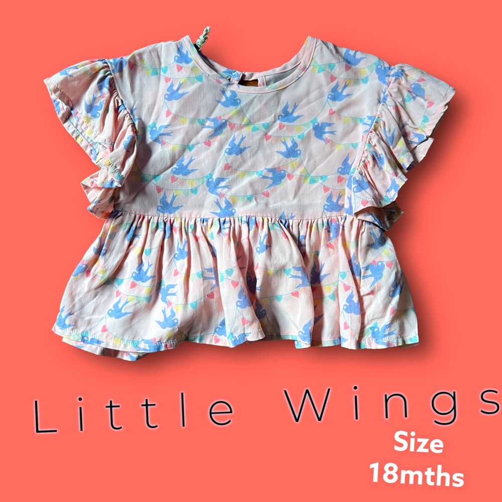 Little wings 18mth NWT